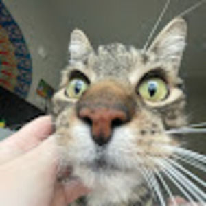 Meet your Posher, Katelyn